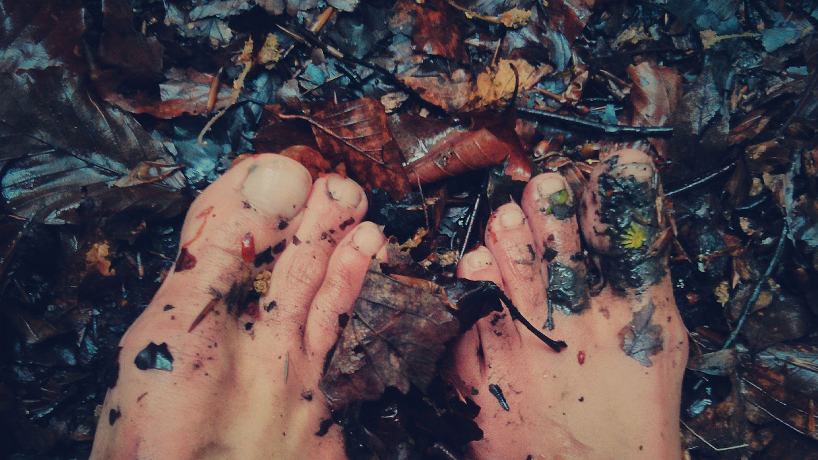 Walking barefeet in the forest